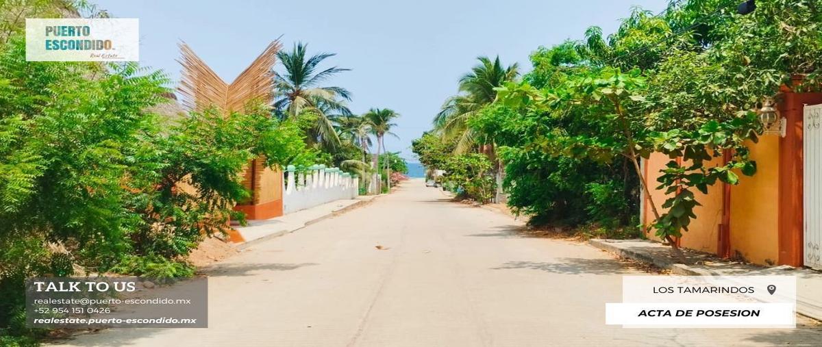 Foto de terreno habitacional en venta en cedro , los tamarindos, santa maría colotepec, oaxaca, 28818972 No. 04