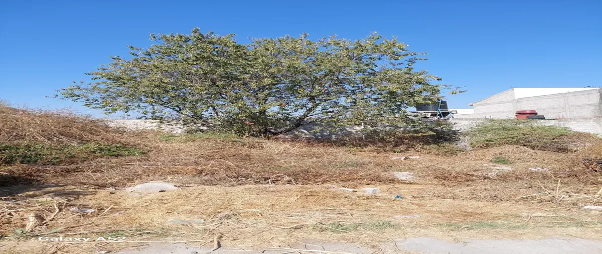 Foto de terreno habitacional en venta en cedro , nezahualcóyotl (boyeros), texcoco, méxico, 0 No. 05
