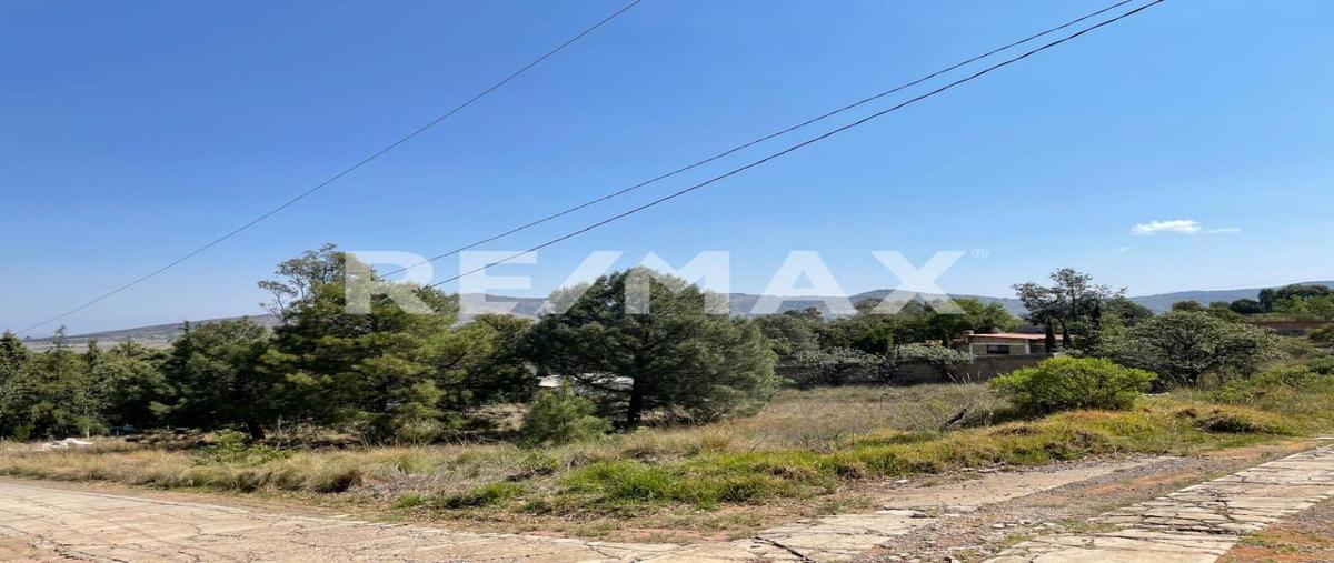 Foto de terreno habitacional en venta en cedro , san pedro, huimilpan, querétaro, 0 No. 03