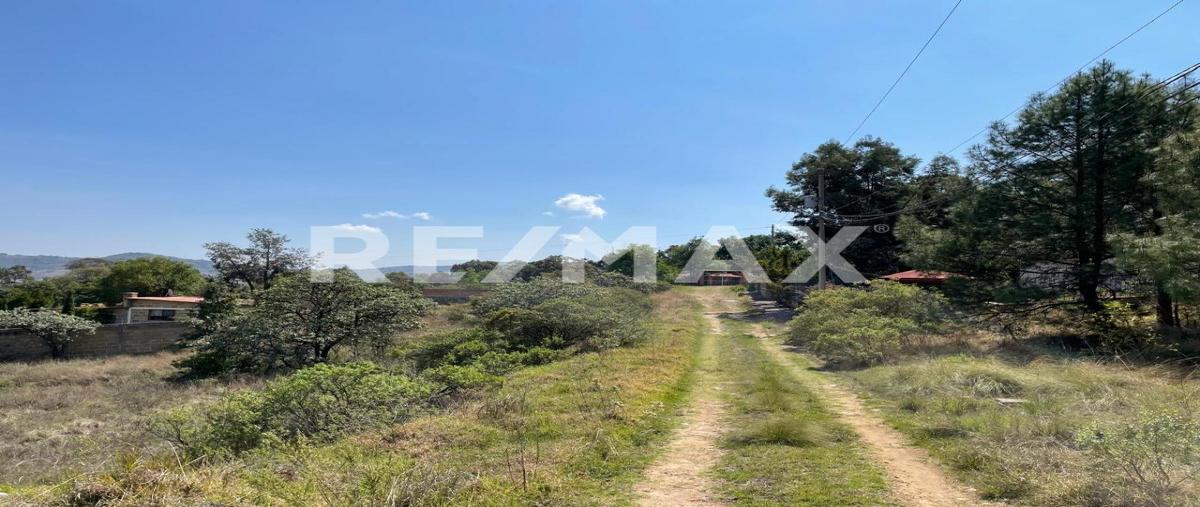 Foto de terreno habitacional en venta en cedro , san pedro, huimilpan, querétaro, 0 No. 04