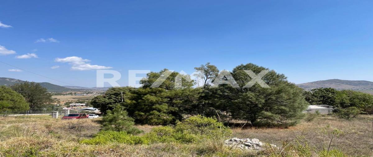 Foto de terreno habitacional en venta en cedro , san pedro, huimilpan, querétaro, 0 No. 05