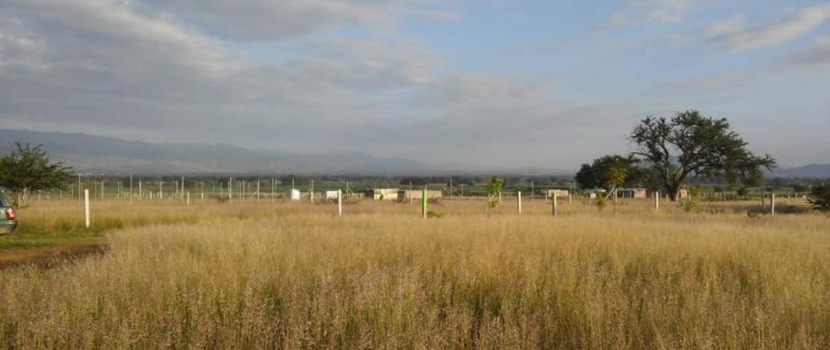 Foto de terreno habitacional en venta en cedros 00, zaachila, villa de zaachila, oaxaca, 8874190 No. 03