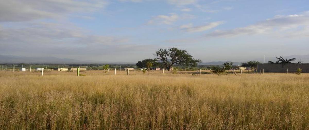 Foto de terreno habitacional en venta en cedros 00, zaachila, villa de zaachila, oaxaca, 8875970 No. 03