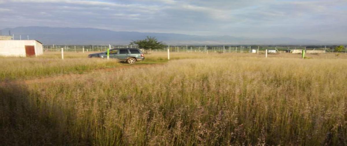 Foto de terreno habitacional en venta en cedros 00, zaachila, villa de zaachila, oaxaca, 8875970 No. 05