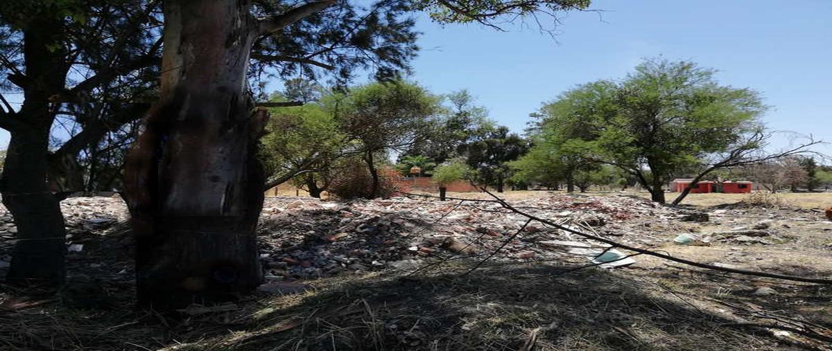 Foto de terreno habitacional en venta en cedros, seccion b , valle de los olivos, ixtlahuacán de los membrillos, jalisco, 9386095 No. 02