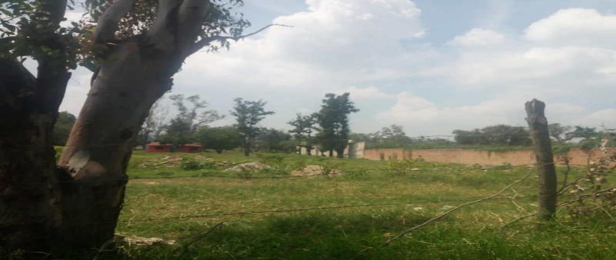 Foto de terreno habitacional en venta en cedros, seccion b , valle de los olivos, ixtlahuacán de los membrillos, jalisco, 9386095 No. 05
