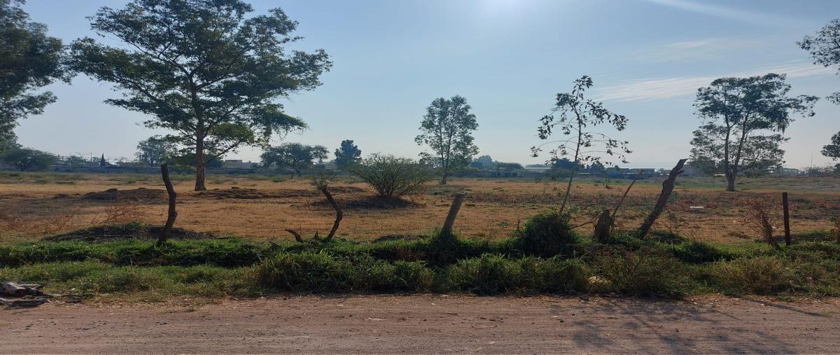 Foto de terreno industrial en venta en cedros , valle de los olivos, ixtlahuacán de los membrillos, jalisco, 28230244 No. 03