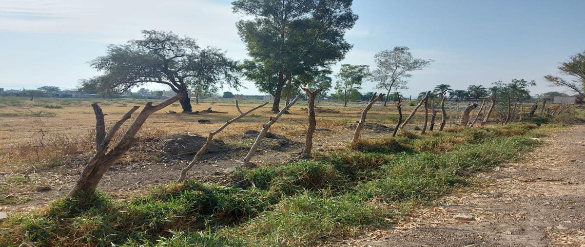 Foto de terreno industrial en venta en cedros , valle de los olivos, ixtlahuacán de los membrillos, jalisco, 28230244 No. 04