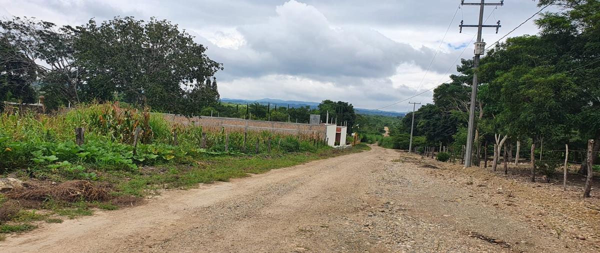Foto de terreno comercial en cegema , santa inés bellavista, berriozábal, chiapas, 28176457 foto 04 Foto de terreno comercial en venta en cegema , santa inés bellavista, berriozábal, chiapas, 28176457 No. 04