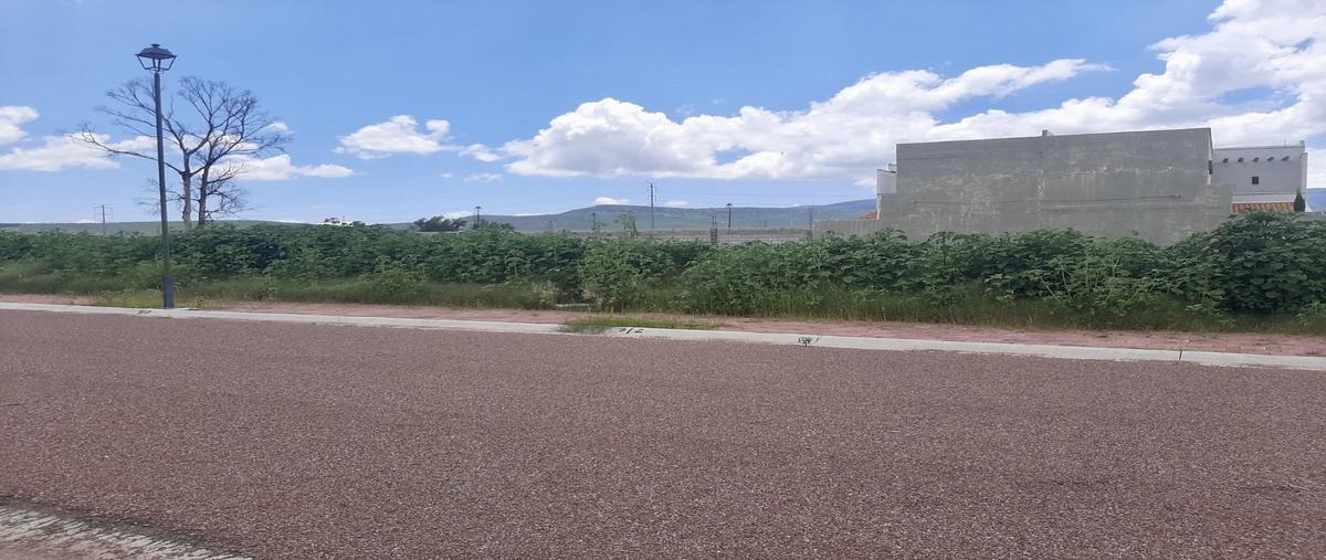 Foto de terreno habitacional en venta en ceiba , san julián de landeta, san miguel de allende, guanajuato, 30323428 No. 04