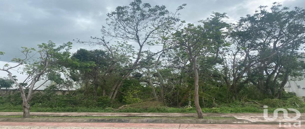 Foto de terreno habitacional en venta en ceibas 116, lagos del sol, benito juárez, quintana roo, 28813985 No. 05