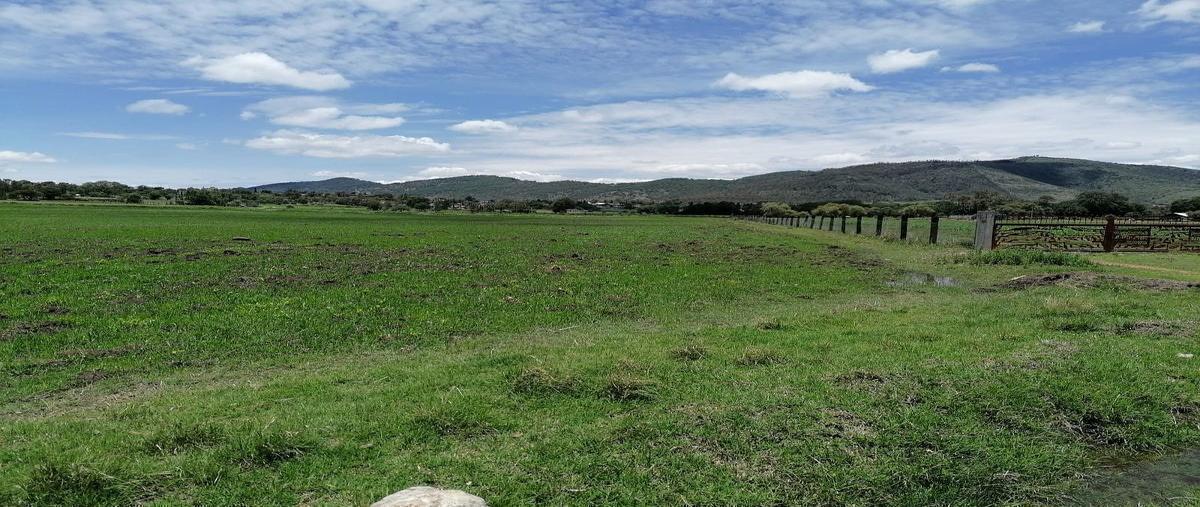 Foto de terreno habitacional en venta en  , ceja de bravo, huimilpan, querétaro, 0 No. 04