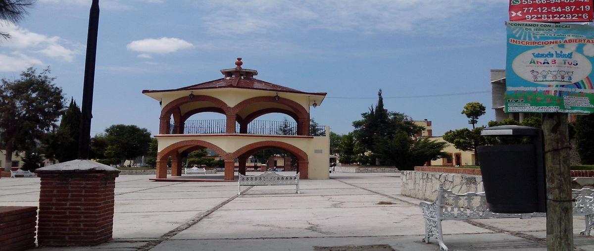 Foto de terreno habitacional en venta en celestino negrete , san pedro huaquilpan, zapotlán de juárez, hidalgo, 14241519 No. 03