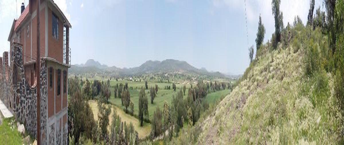 Foto de terreno habitacional en venta en celestino negrete , san pedro huaquilpan, zapotlán de juárez, hidalgo, 14241519 No. 04