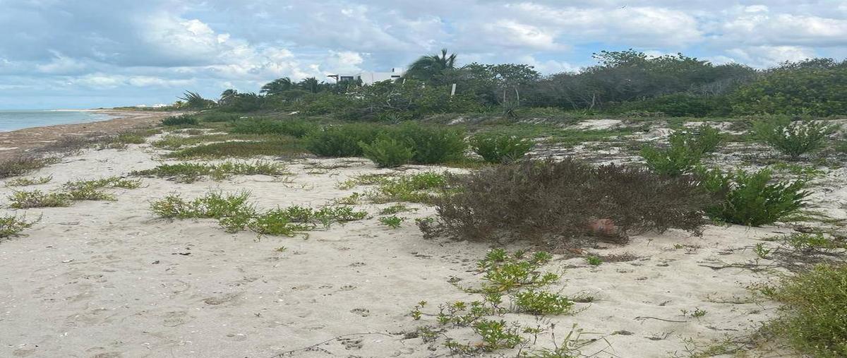 Foto de terreno habitacional en venta en celestun , celestun, celestún, yucatán, 30280611 No. 04