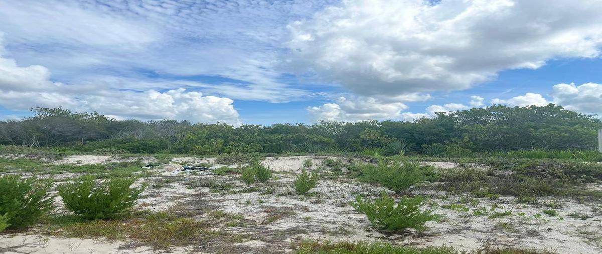 Foto de terreno habitacional en venta en celestun , celestun, celestún, yucatán, 30280611 No. 05