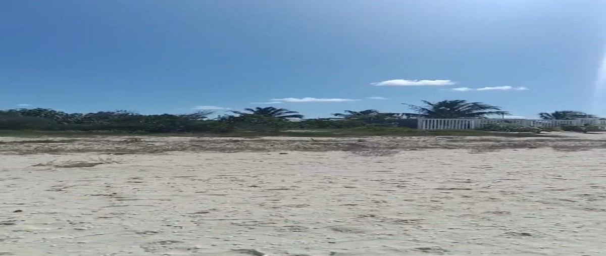 Foto de terreno habitacional en venta en celestún , celestun, celestún, yucatán, 0 No. 03