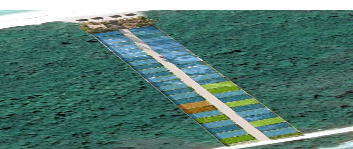 Foto de terreno habitacional en , celestun, celestún, yucatán, 25968713 foto 03 Foto de terreno habitacional en venta en , celestun, celestún, yucatán, 25968713 No. 03