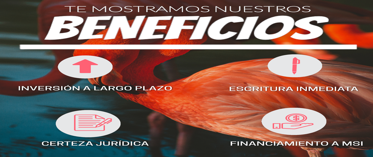 Foto de terreno habitacional en venta en  , celestun, celestún, yucatán, 26011617 No. 03