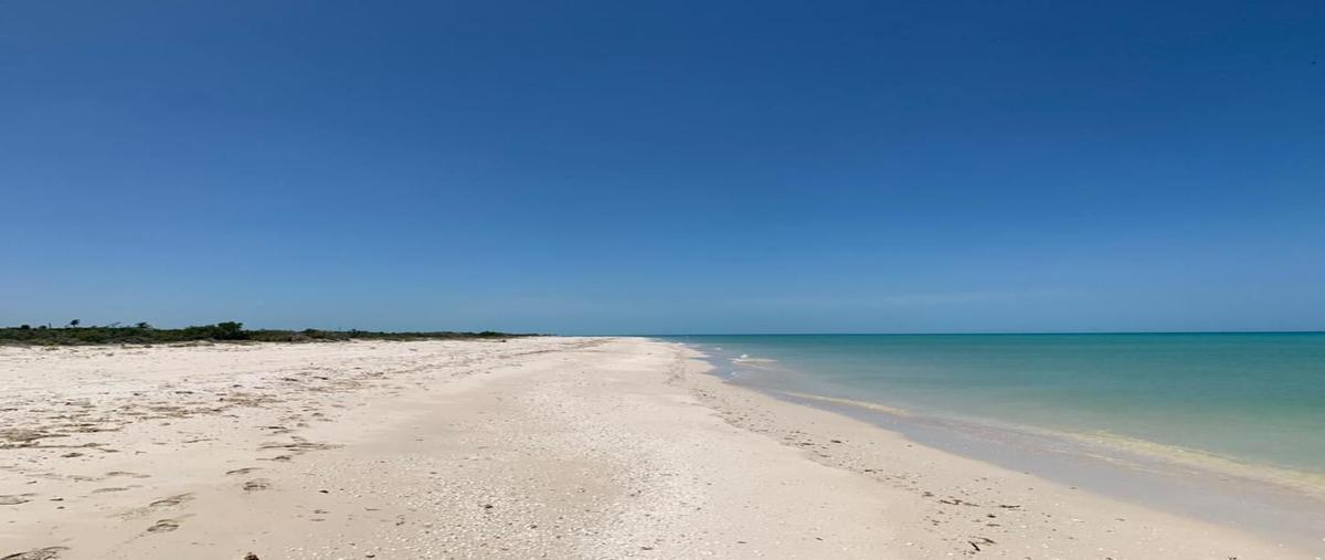 Foto de terreno habitacional en venta en  , celestun, celestún, yucatán, 26201222 No. 04