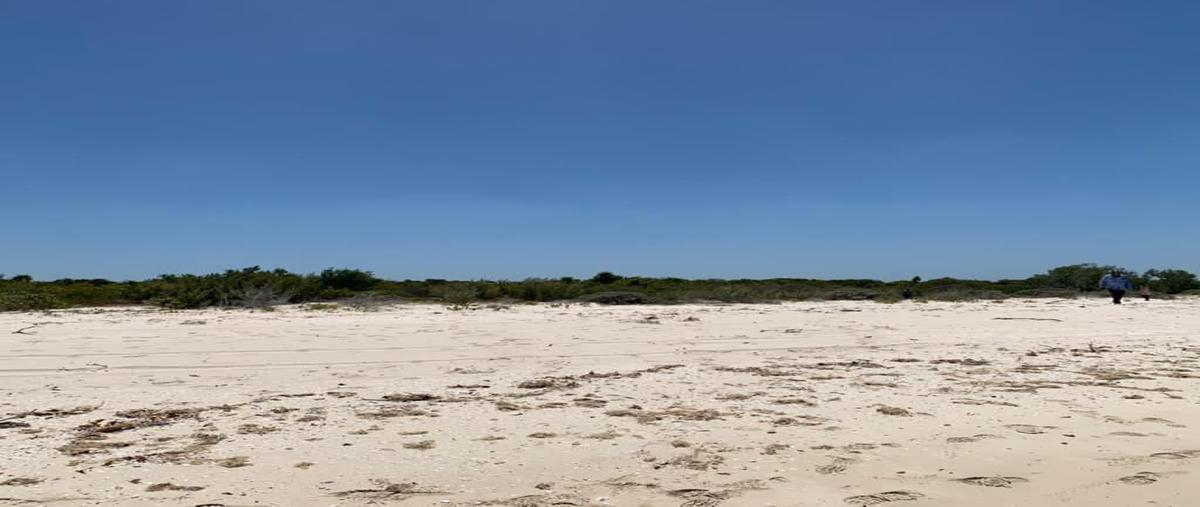 Foto de terreno habitacional en venta en  , celestun, celestún, yucatán, 26201222 No. 05