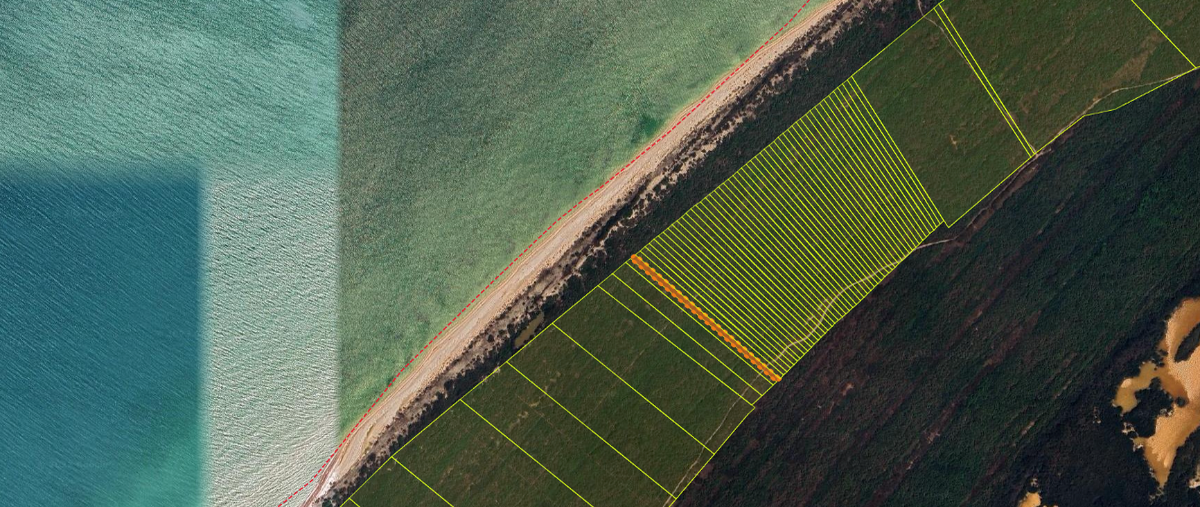 Foto de terreno habitacional en venta en  , celestun, celestún, yucatán, 27065773 No. 04