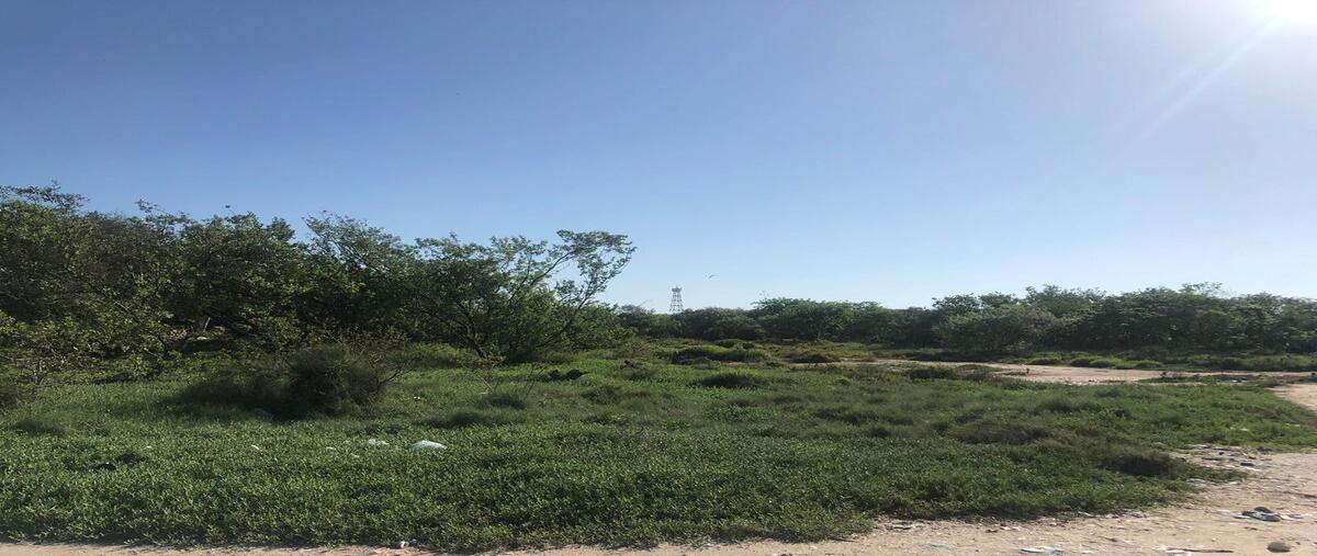 Foto de terreno habitacional en , celestun, celestún, yucatán, 27686434 foto 05 Foto de terreno habitacional en venta en , celestun, celestún, yucatán, 27686434 No. 05