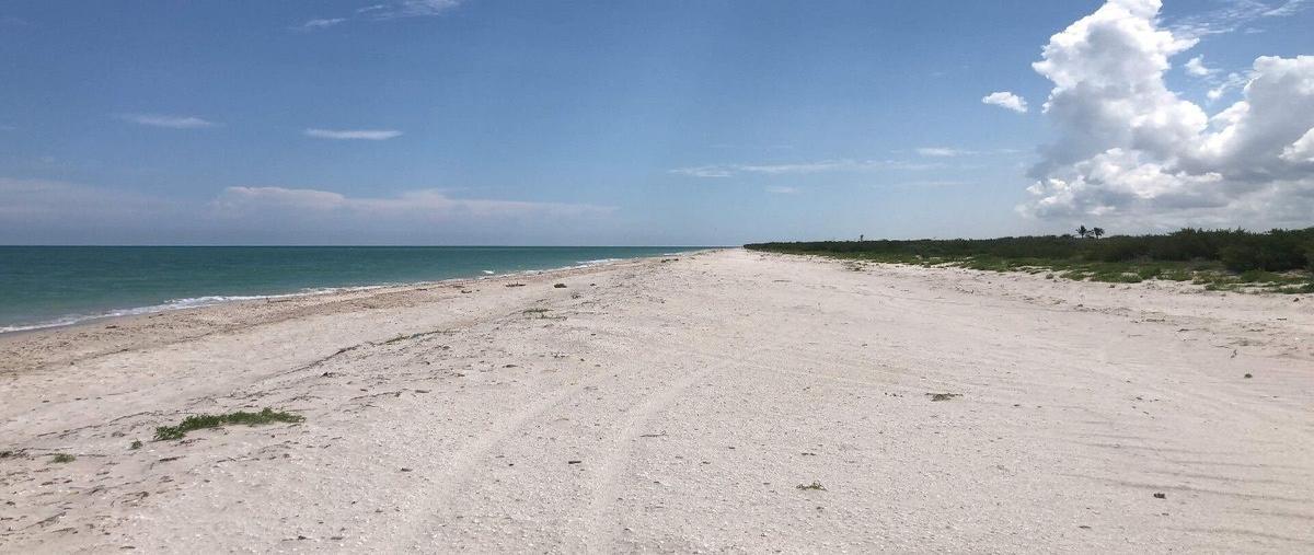 Foto de terreno habitacional en venta en  , celestun, celestún, yucatán, 28016575 No. 04