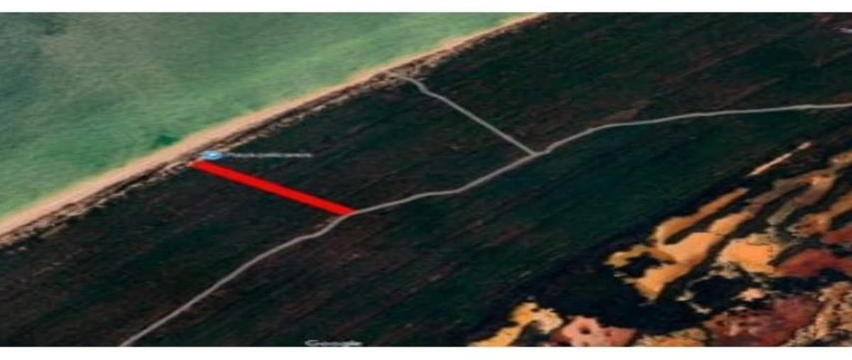 Foto de terreno habitacional en venta en  , celestun, celestún, yucatán, 28027508 No. 05