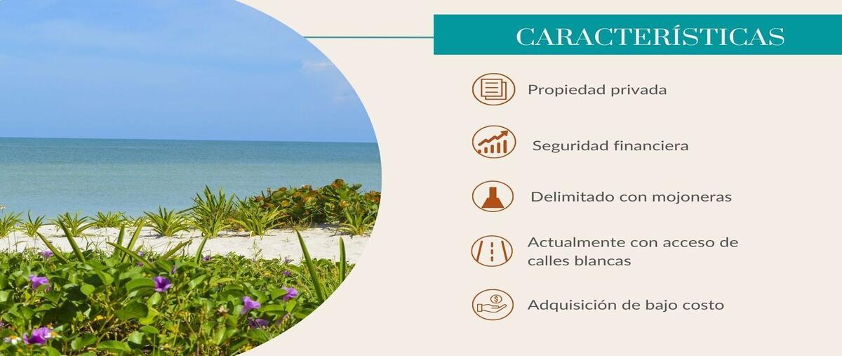 Foto de terreno habitacional en venta en  , celestun, celestún, yucatán, 28768118 No. 04