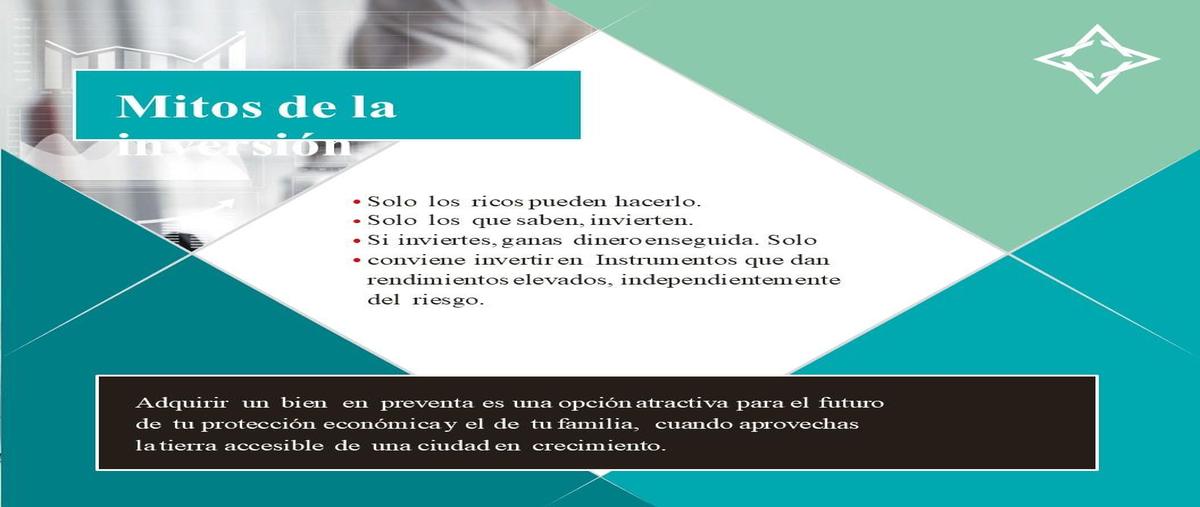 Foto de terreno habitacional en venta en  , celestun, celestún, yucatán, 0 No. 05