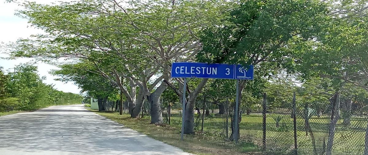 Foto de terreno habitacional en venta en  , celestun, celestún, yucatán, 0 No. 03
