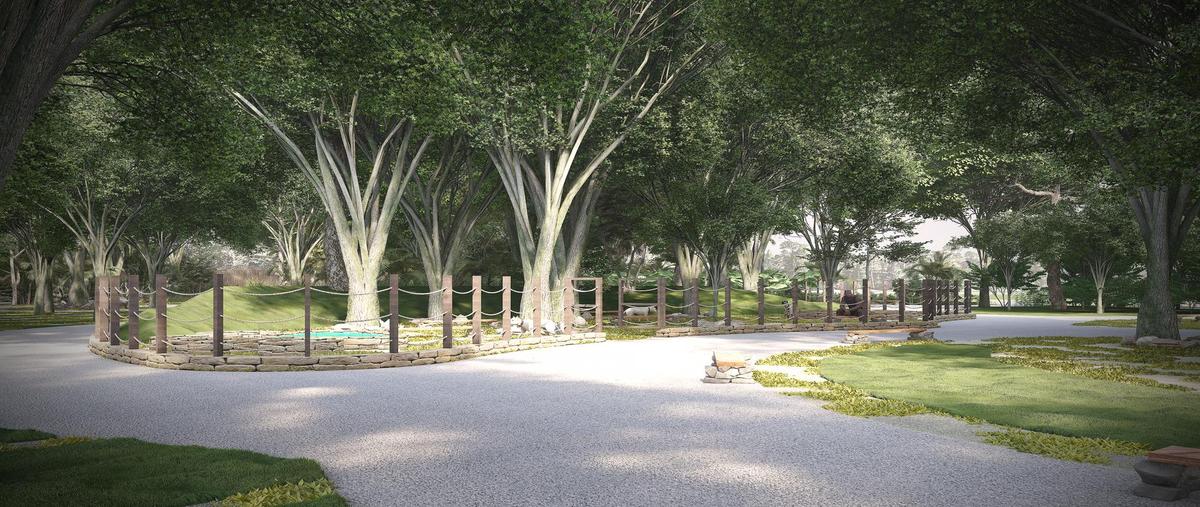 Foto de terreno habitacional en venta en  , celestun, celestún, yucatán, 0 No. 03