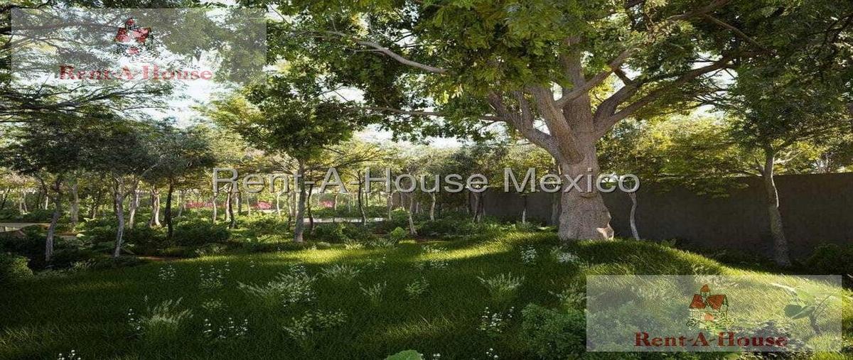 Foto de terreno habitacional en , celestun, celestún, yucatán, 30399797 foto 05 Foto de terreno habitacional en venta en , celestun, celestún, yucatán, 30399797 No. 05