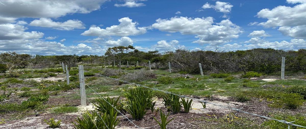 Foto de terreno habitacional en , celestun, celestún, yucatán, 30424069 foto 04 Foto de terreno habitacional en venta en , celestun, celestún, yucatán, 30424069 No. 04