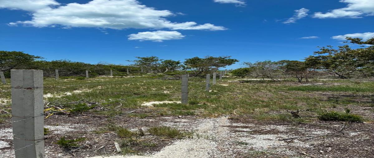 Foto de terreno habitacional en , celestun, celestún, yucatán, 30424069 foto 05 Foto de terreno habitacional en venta en , celestun, celestún, yucatán, 30424069 No. 05