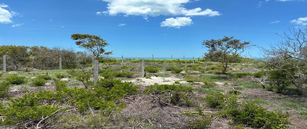 Foto de terreno habitacional en , celestun, celestún, yucatán, 30424069 foto 07 Foto de terreno habitacional en venta en , celestun, celestún, yucatán, 30424069 No. 07