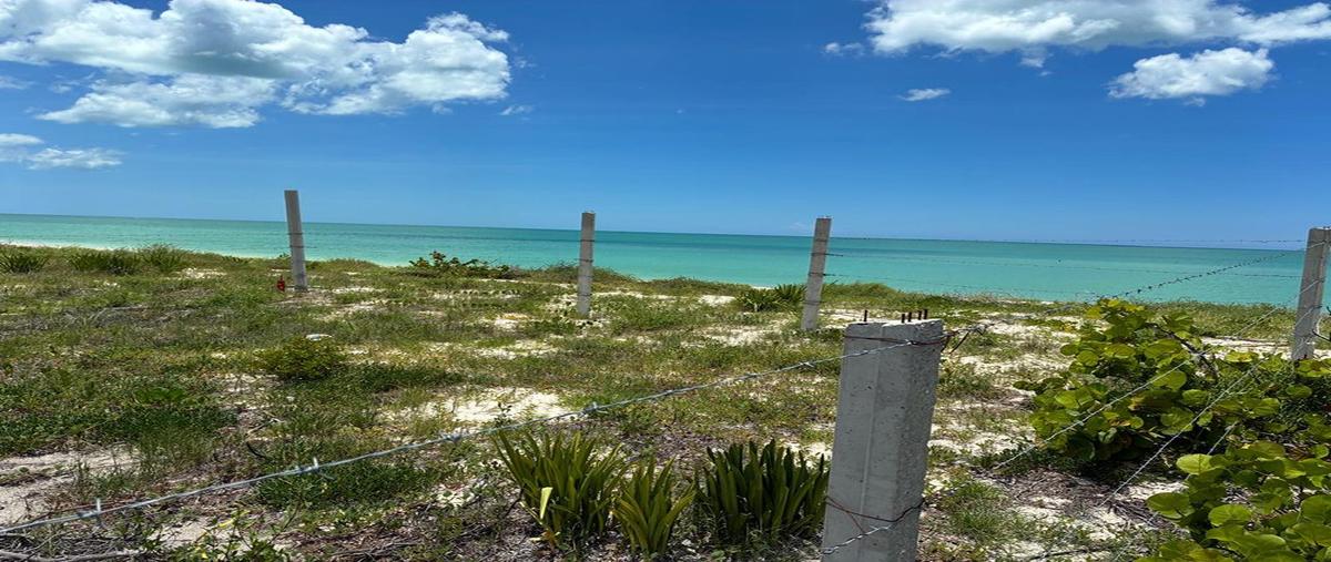Foto de terreno habitacional en , celestun, celestún, yucatán, 30424069 foto 08 Foto de terreno habitacional en venta en , celestun, celestún, yucatán, 30424069 No. 08