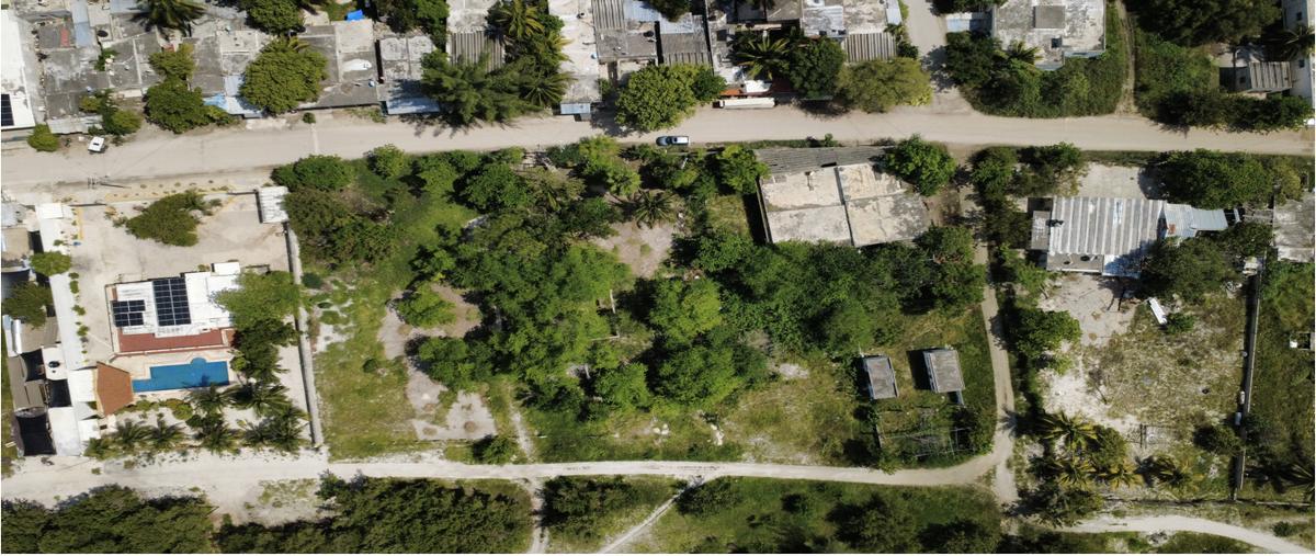 Foto de terreno habitacional en , celestun, celestún, yucatán, 0 foto 03 Foto de terreno habitacional en venta en , celestun, celestún, yucatán, 0 No. 03