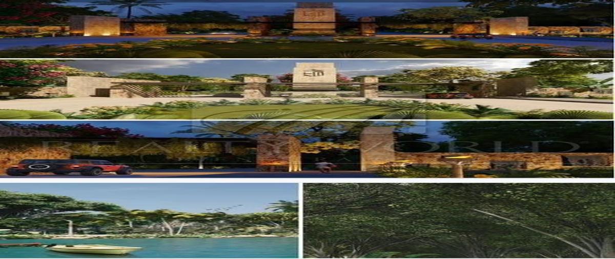 Foto de terreno habitacional en , celestun, celestún, yucatán, 0 foto 04 Foto de terreno habitacional en venta en , celestun, celestún, yucatán, 0 No. 04