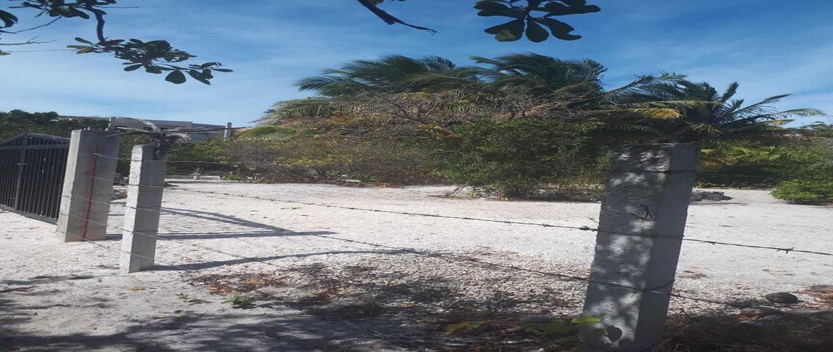 Foto de terreno comercial en venta en  , celestun, celestún, yucatán, 0 No. 03