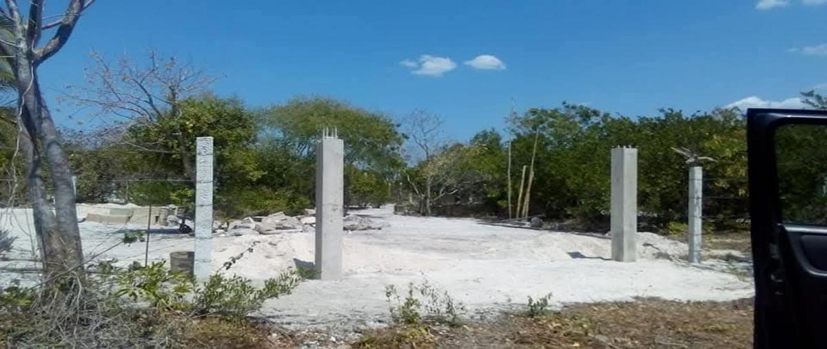 Foto de terreno comercial en venta en  , celestun, celestún, yucatán, 0 No. 04