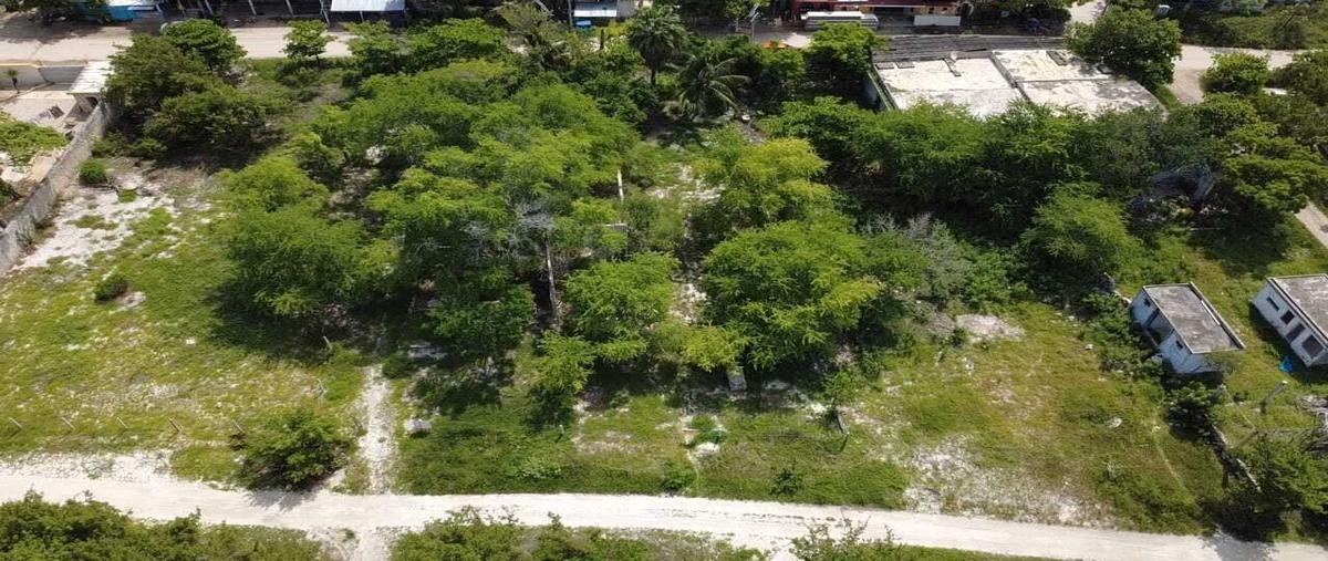 Foto de terreno habitacional en , celestun, celestún, yucatán, 0 foto 04 Foto de terreno habitacional en venta en , celestun, celestún, yucatán, 0 No. 04