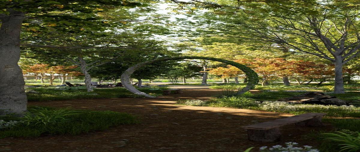 Foto de terreno habitacional en venta en  , celestun, celestún, yucatán, 30674995 No. 05