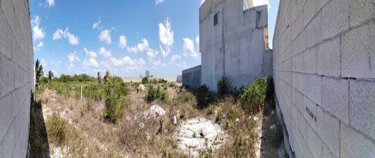 Foto de terreno habitacional en venta en  , celestun, celestún, yucatán, 0 No. 04