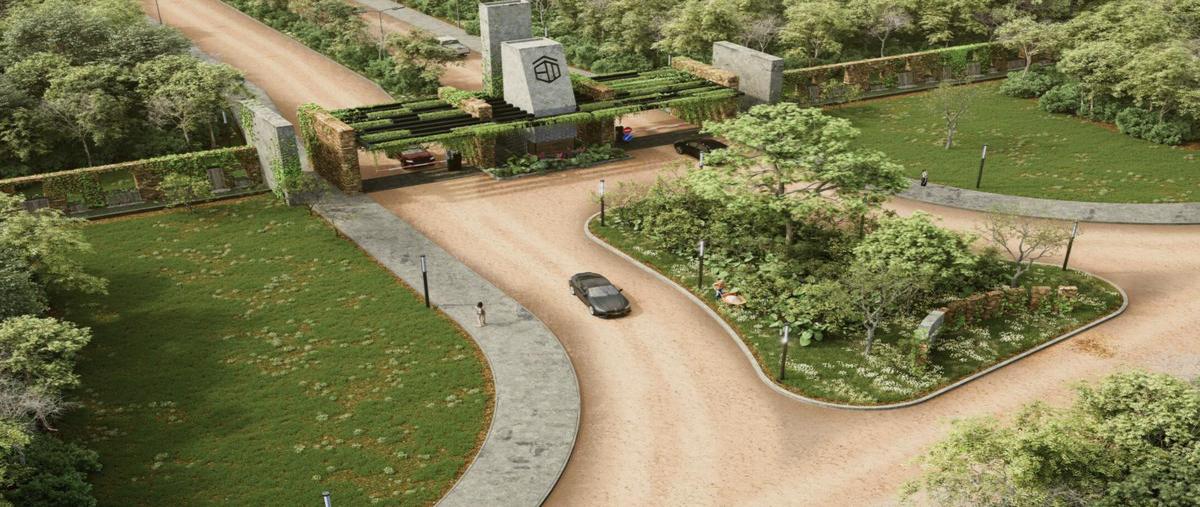 Foto de terreno habitacional en venta en  , celestun, celestún, yucatán, 0 No. 03