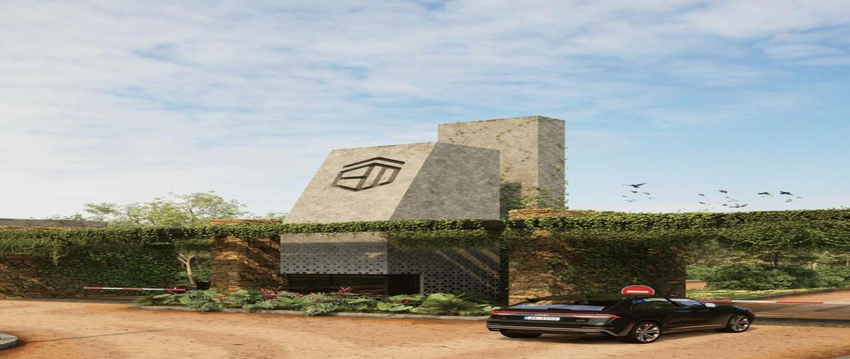 Foto de terreno habitacional en venta en  , celestun, celestún, yucatán, 0 No. 04