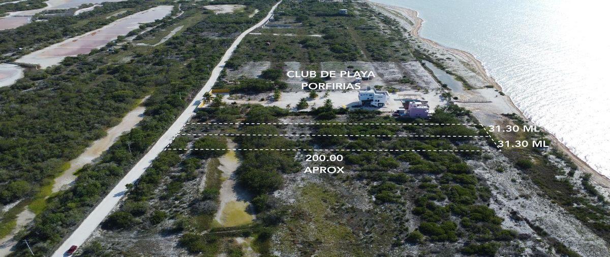 Foto de terreno habitacional en venta en  , celestun, celestún, yucatán, 0 No. 04