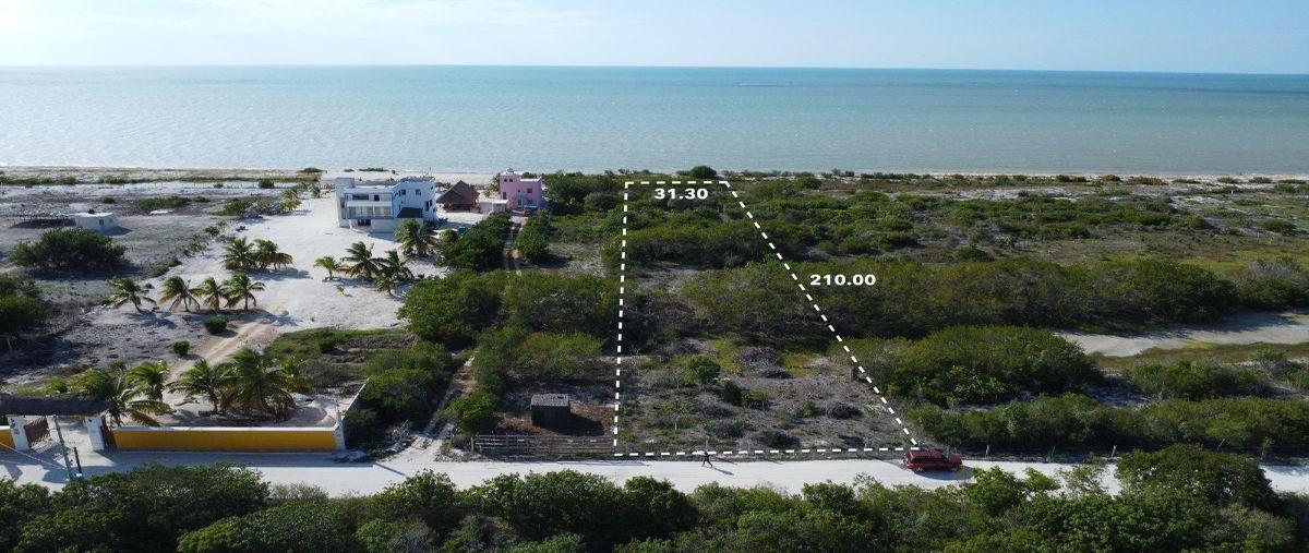 Foto de terreno habitacional en venta en  , celestun, celestún, yucatán, 0 No. 05