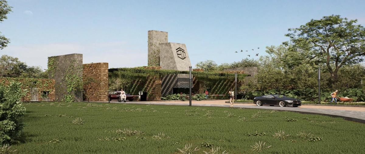 Foto de terreno habitacional en venta en  , celestun, celestún, yucatán, 0 No. 03